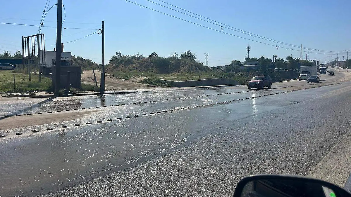 negras calles leona vicario los cabos 1